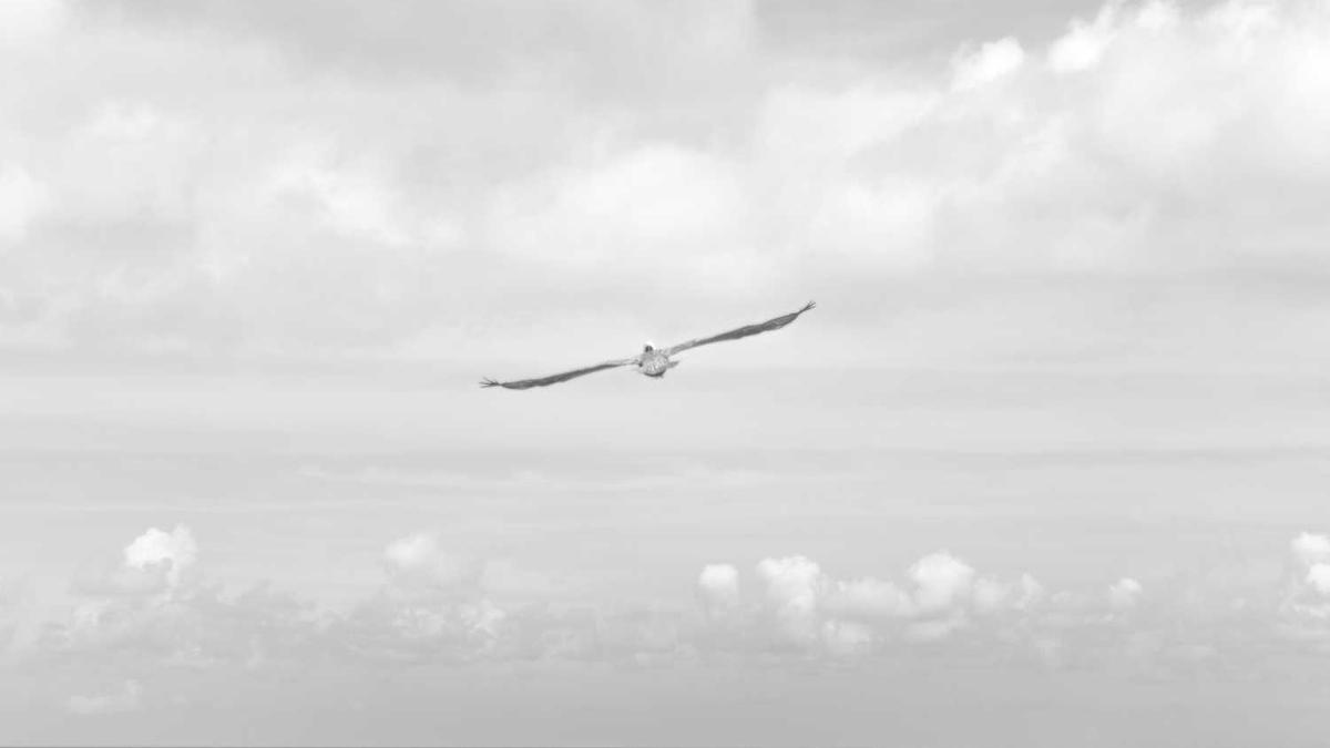 云南海拔排名前十名?