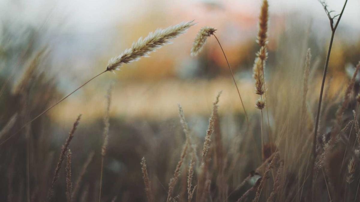 ...做完后心里很害怕,怕她有什么病,她会有病吗