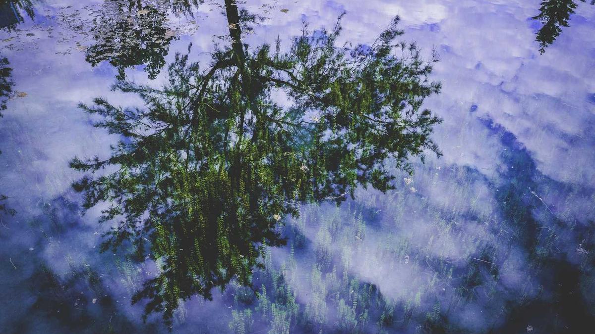 去龙比亚大学读博一般有什么要求？