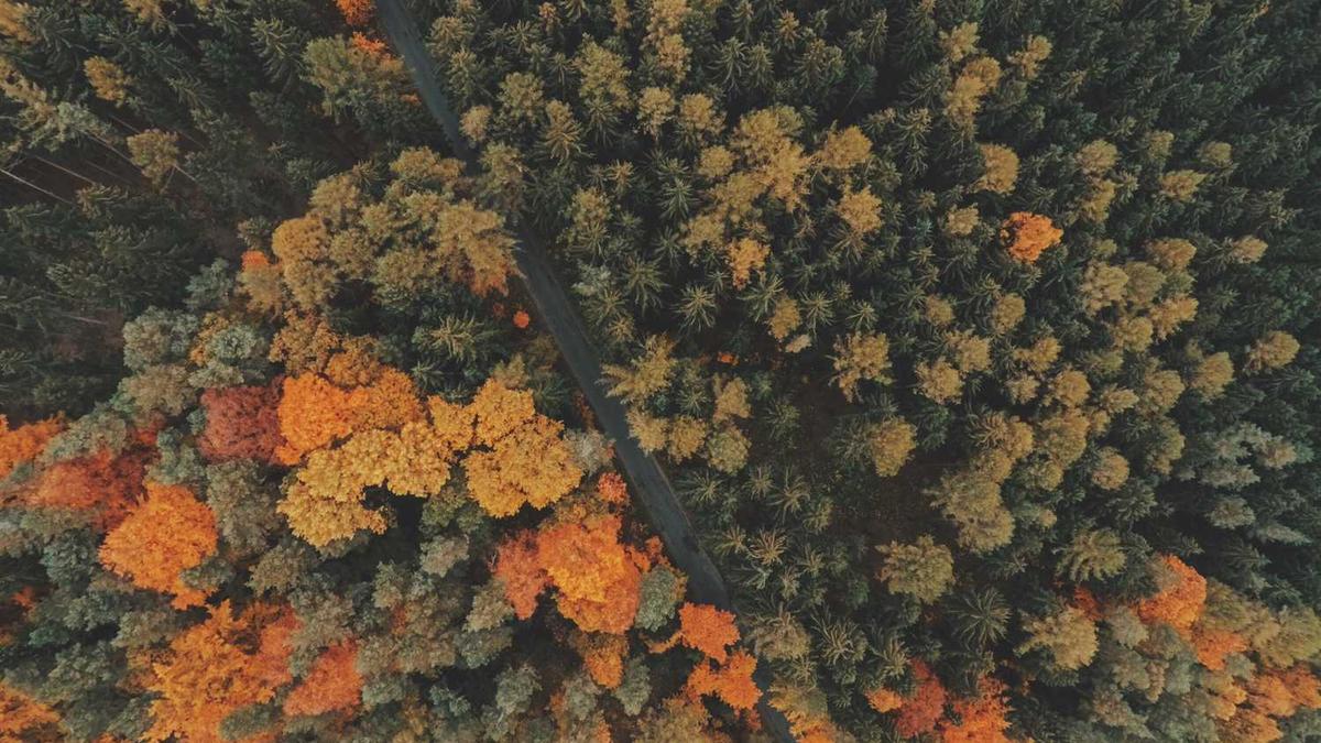 商丘 省际区域中心城市