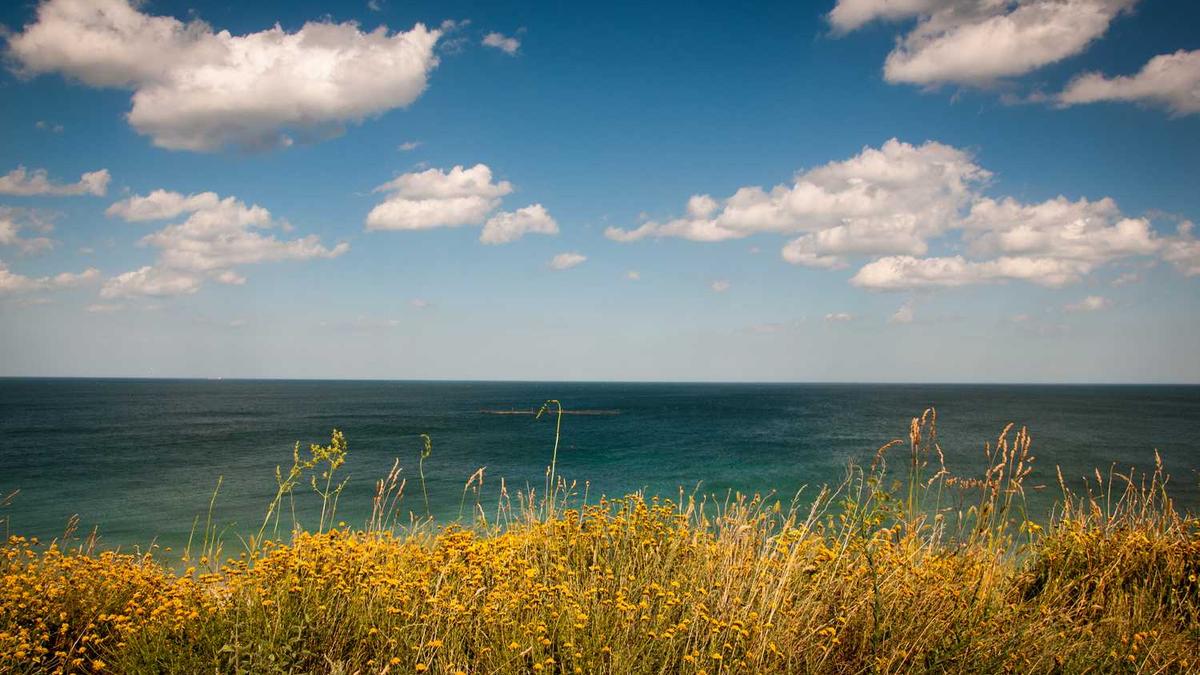 永州职业技术学院是第几梯队