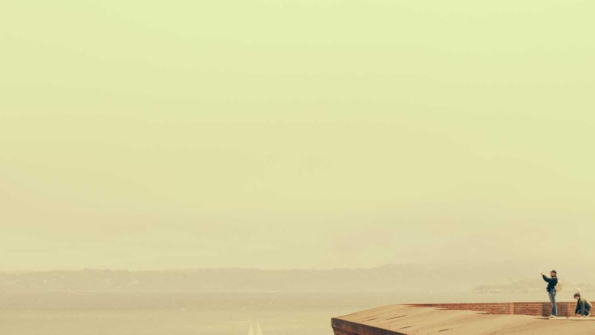 广西、福建等多地猪场被拆,大量生猪涌入市场,猪价要转跌?