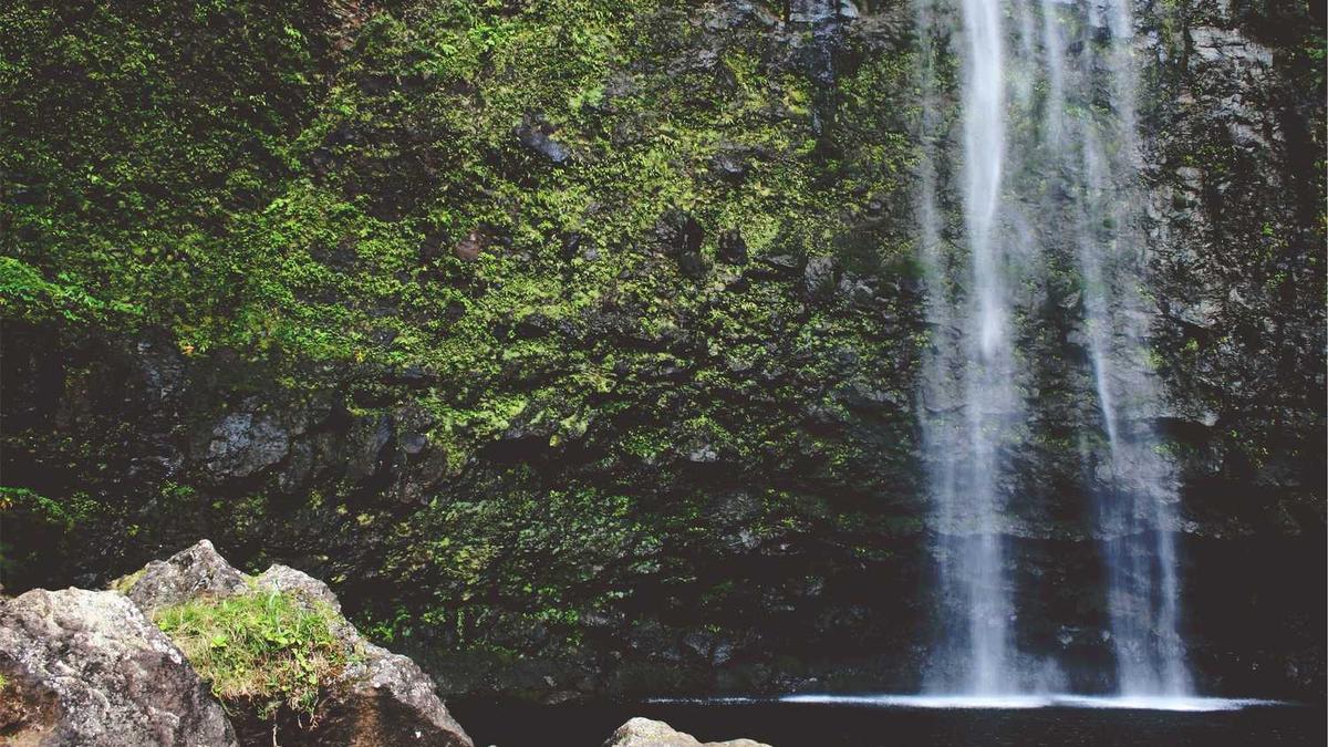 江西省下辖地级市现任市委领导中的女领导简介