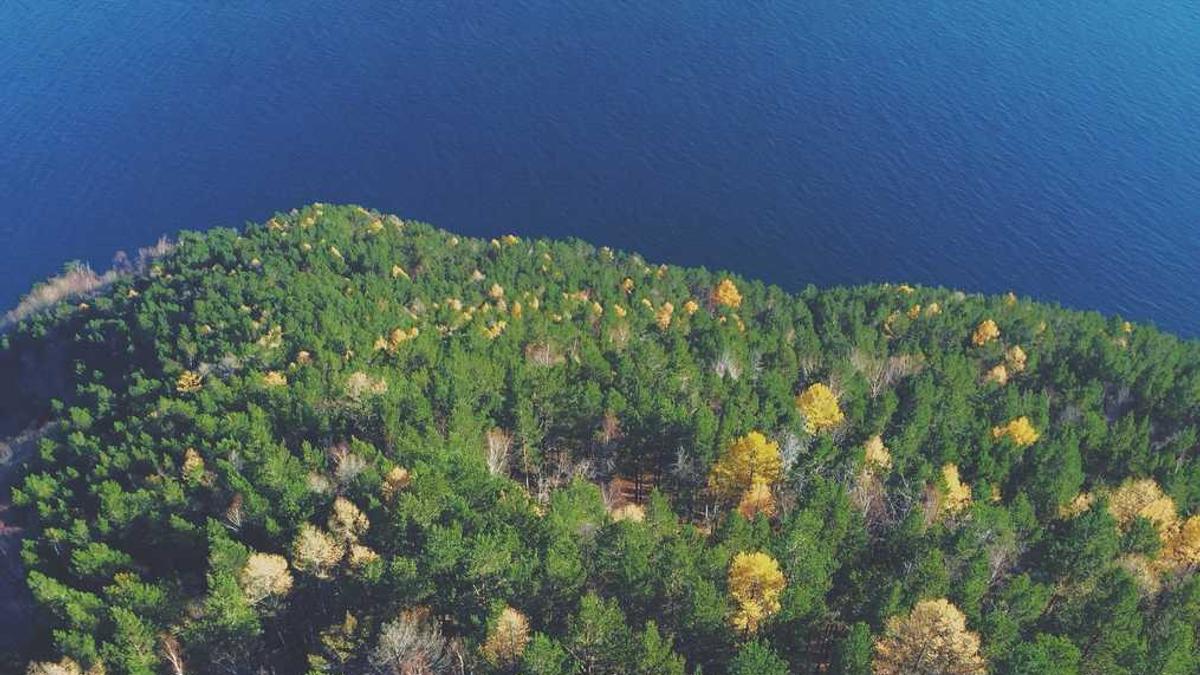 绿色食品标准六堡茶年产量