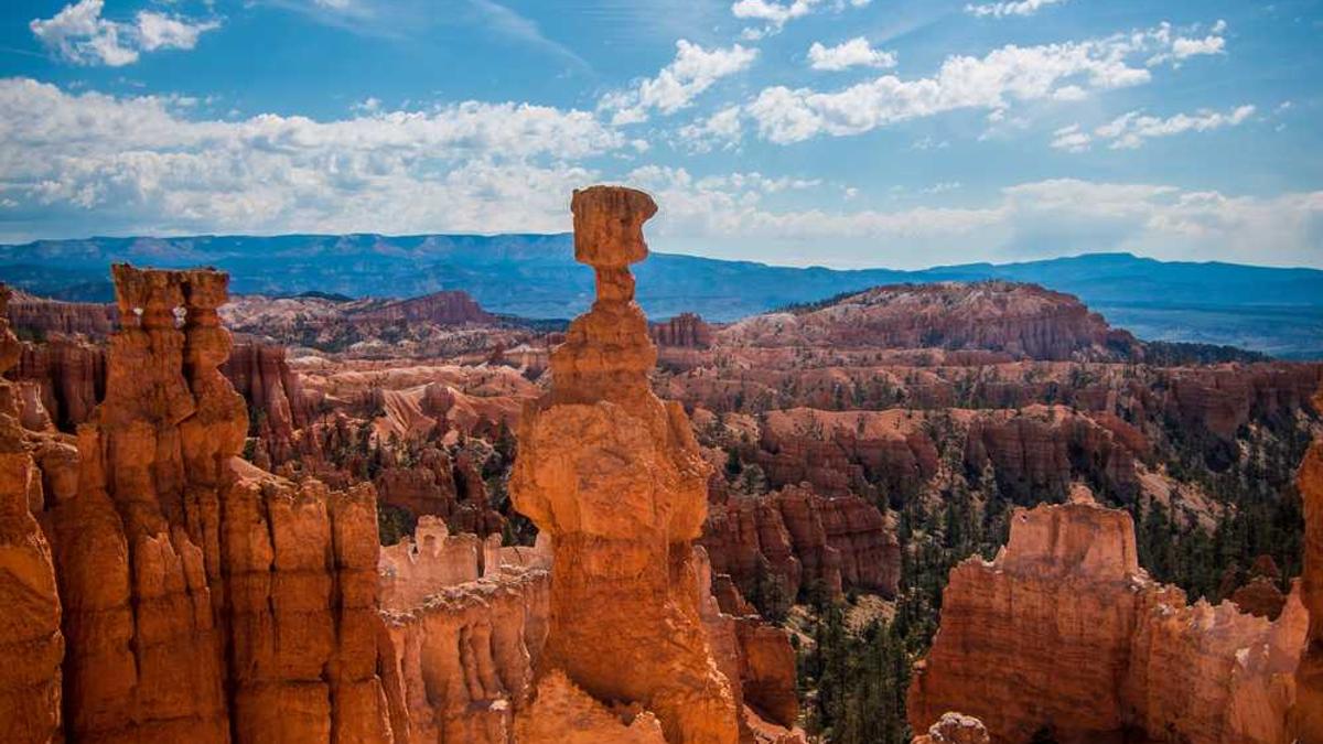 中绿可胜在格尔木有什么项目