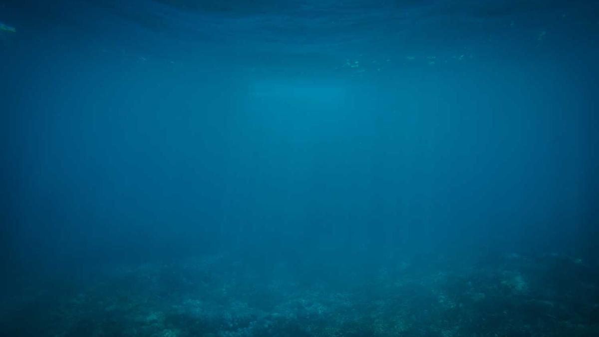 常州必买十大特产有哪些东西