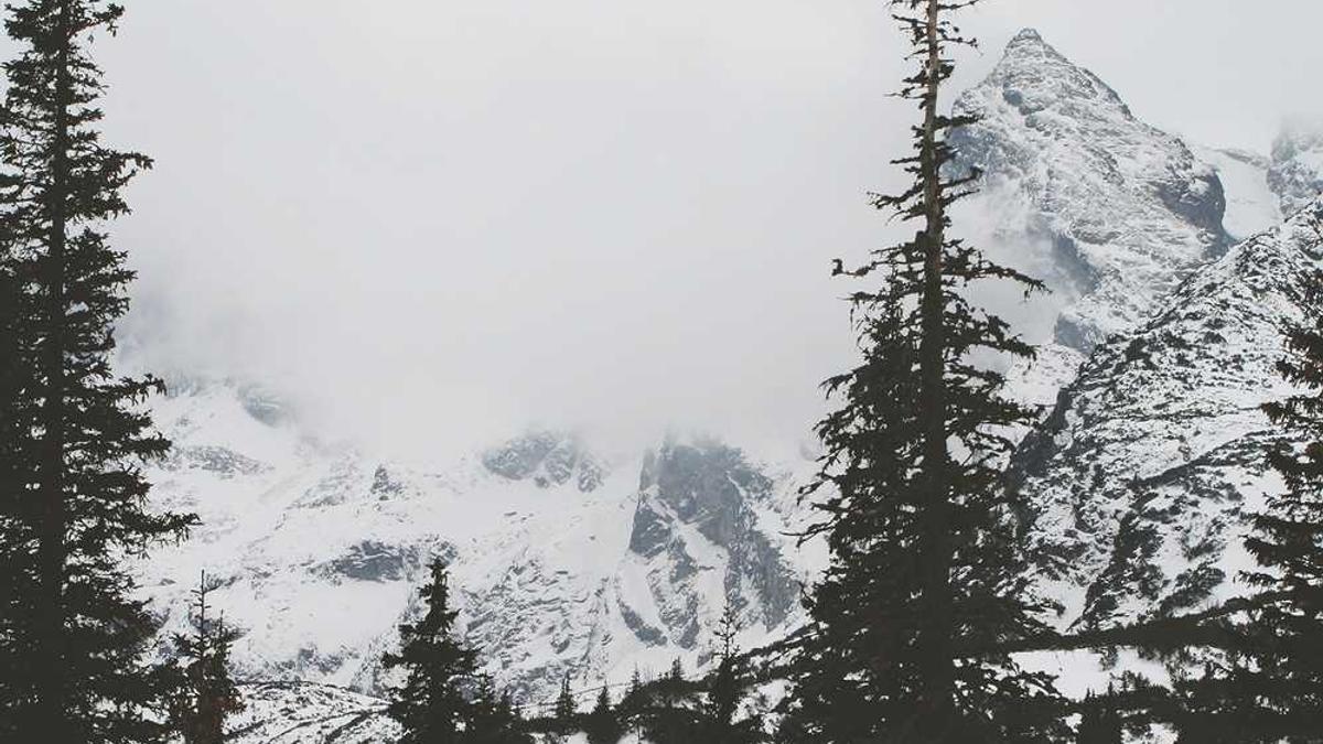 深证指数是什么