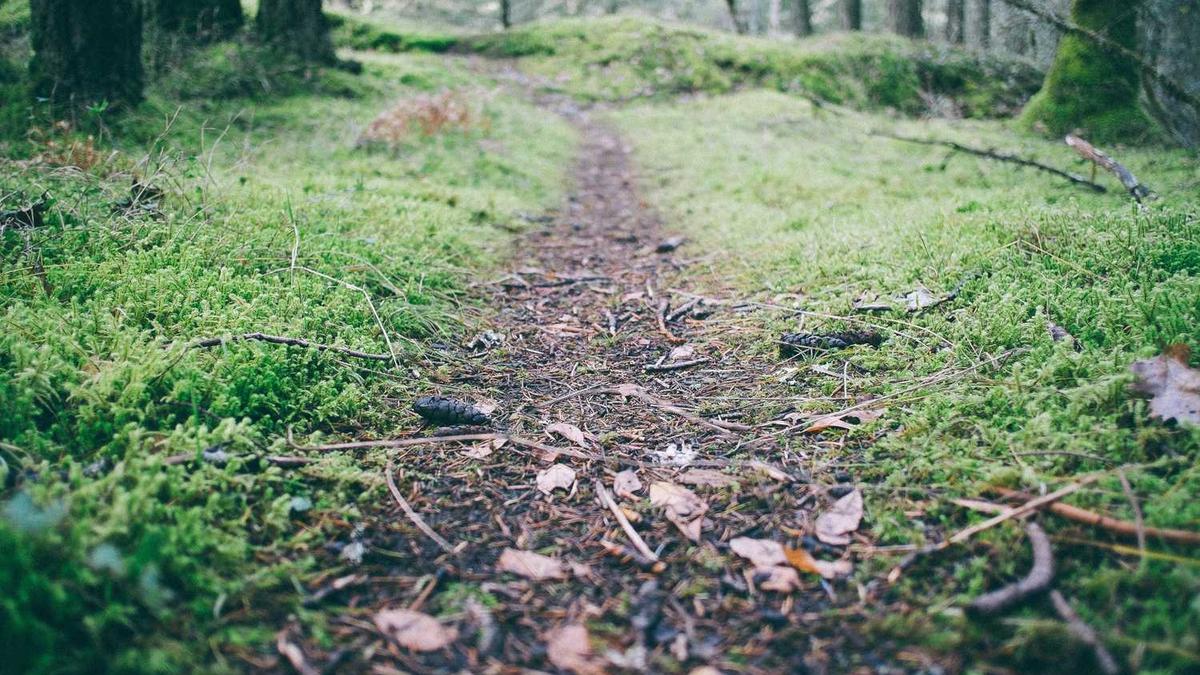 黑龙江伊春丰海实木家具公司怎么样?有谁可以给提供点参考