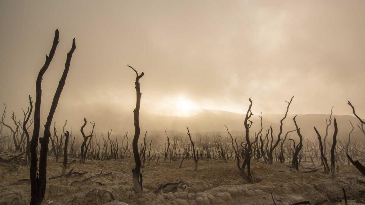 莆田仙游鲤南这边有没有车要租的跑顺丰车