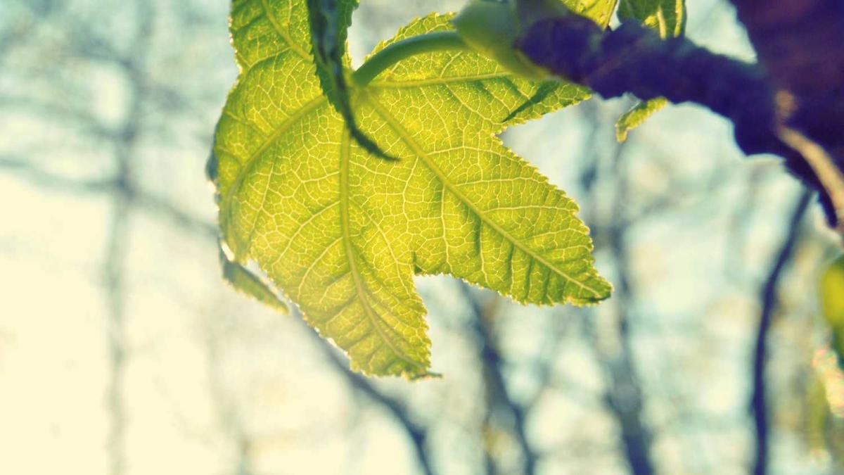 肇庆古镇旅游景点_肇庆十大最好玩的景点,肇庆有哪些好玩的
