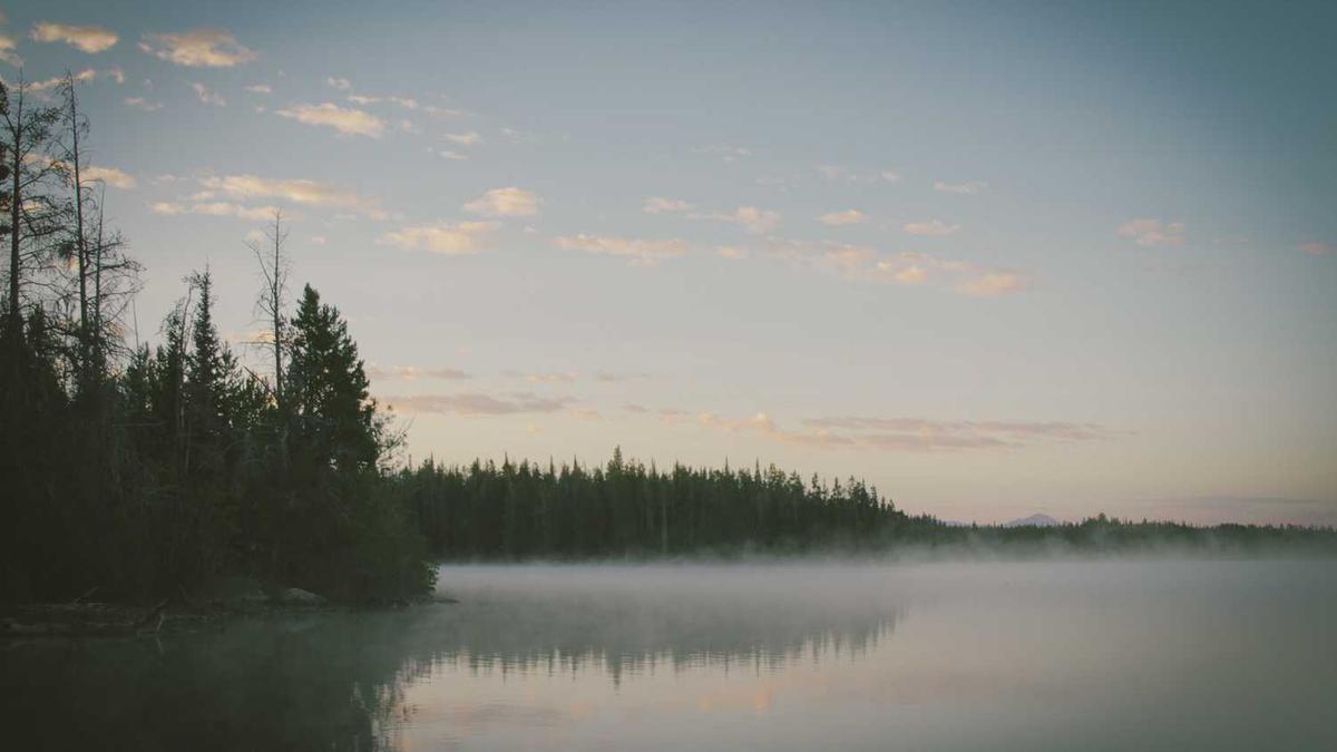 吴瑞麟获奖情况