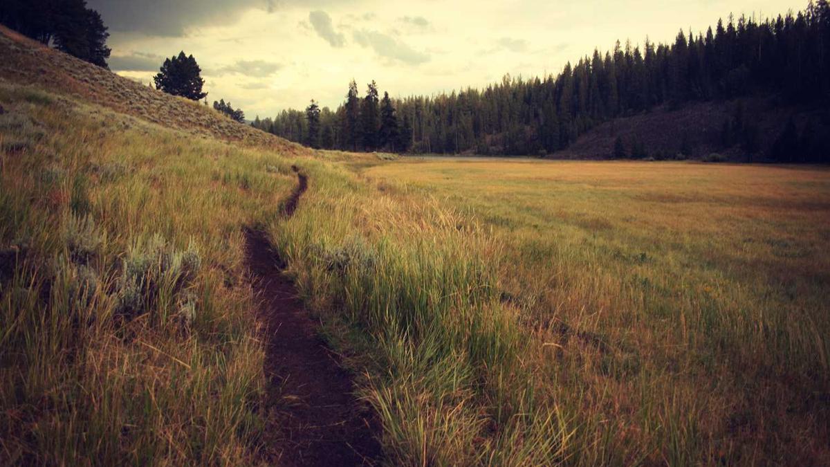 孙悦个人资料介绍