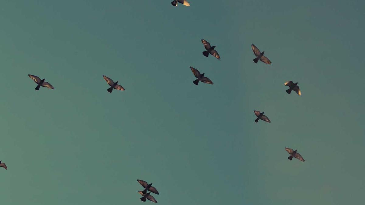 辽宁丹东草莓几月份上市