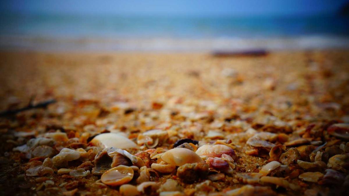 东营市调整2025年汽车以旧换新政策