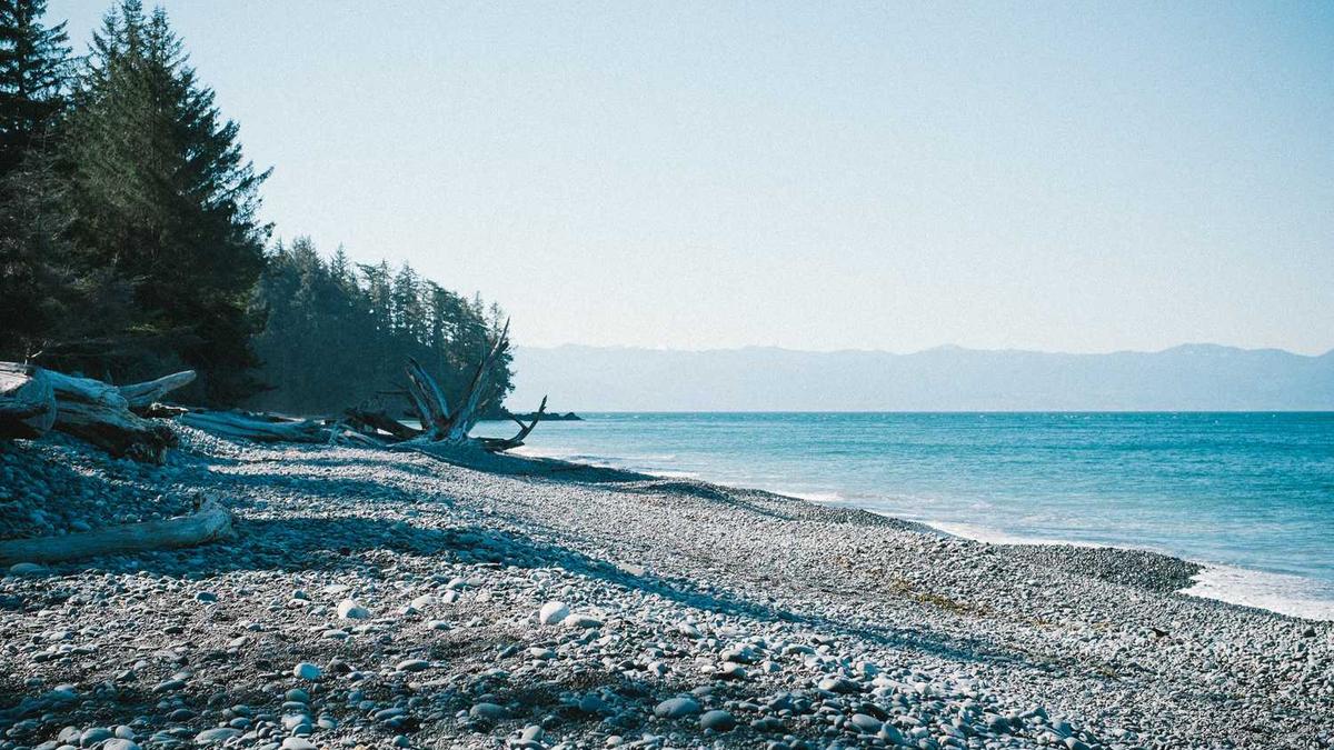 青岛农业大学为什么有四个校区