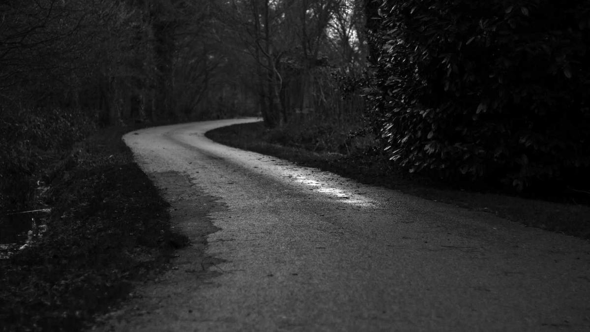 冷空气“兵分两路”,南方气温恐再创新低,江南初雪依旧无望