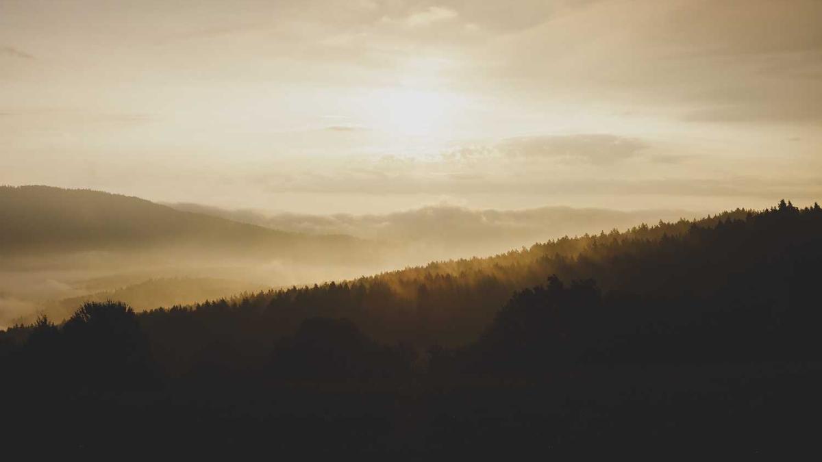 廊坊广阳医院南楼在哪