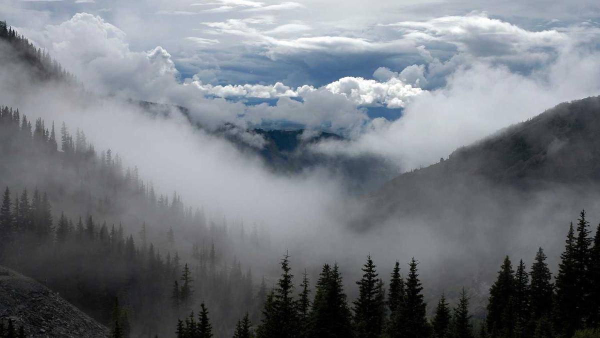 八五一一农场概况