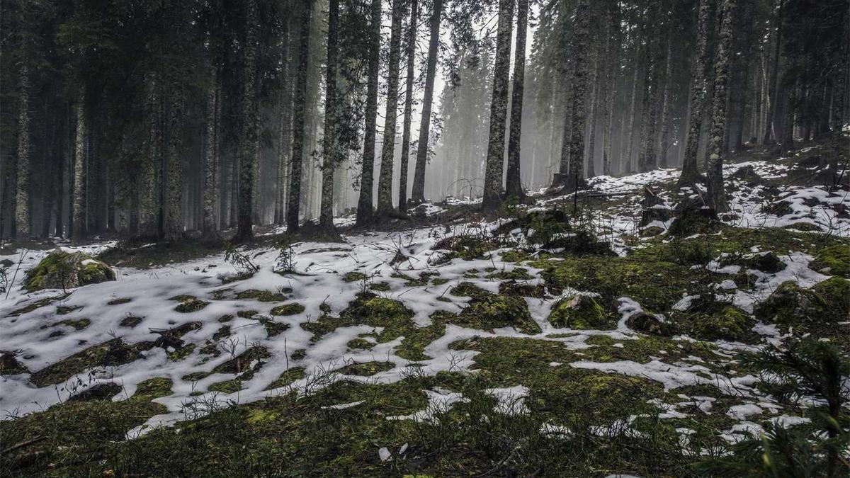 梅山中学的教师风采
