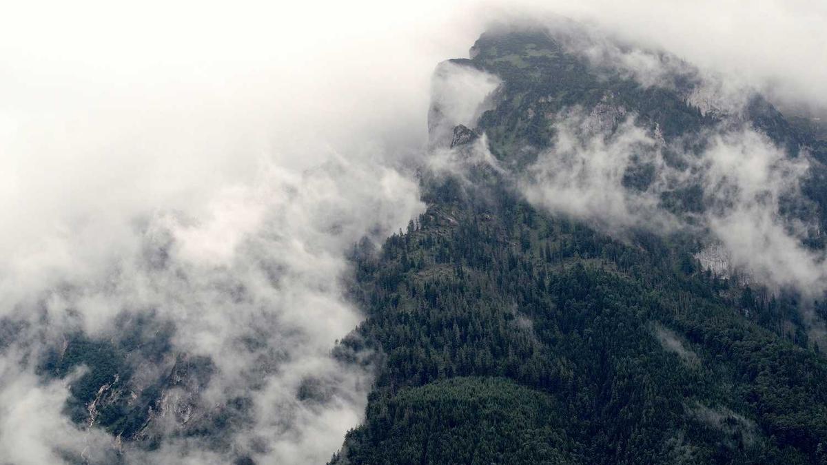 株洲在湖南的什么位置,湖南株洲在全国位置