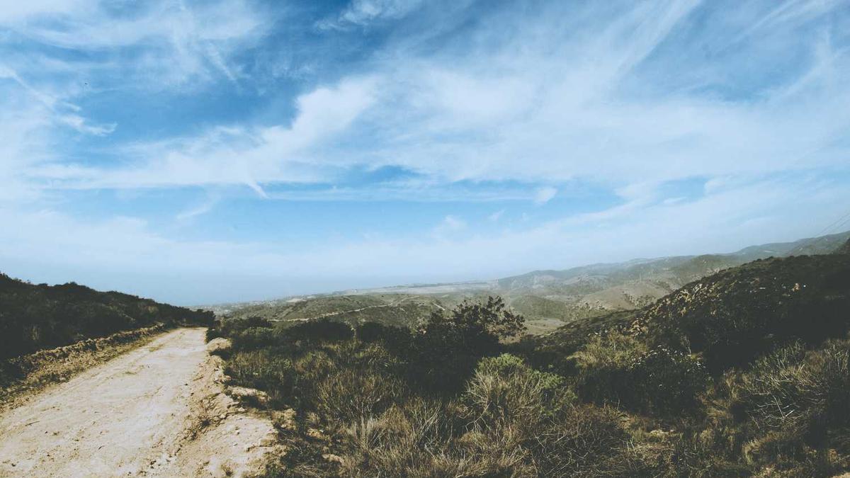 酒驾第二天去交警队都干什么
