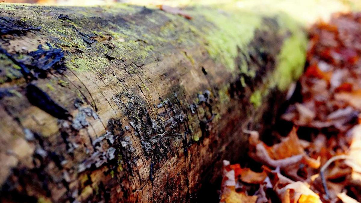 河南省平顶山市最近一星期天气
