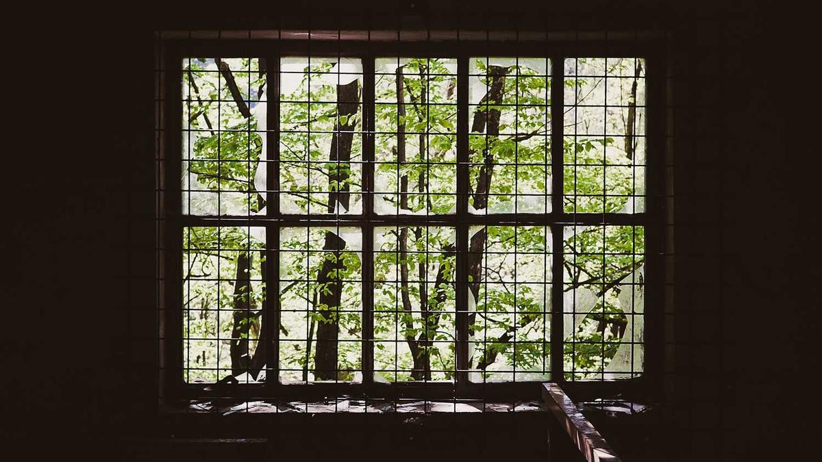 广东省民办本科学校(高考)四大名补