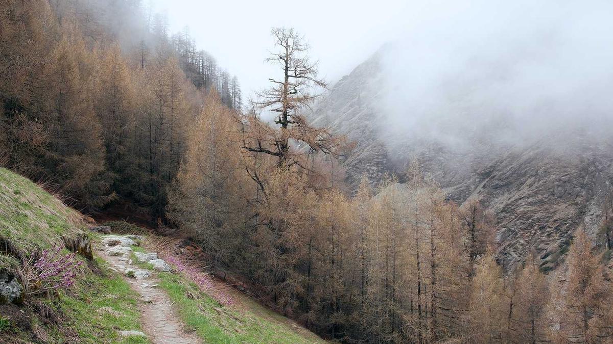 2024青岛天气什么时候能回暖青岛几月份会变暖和