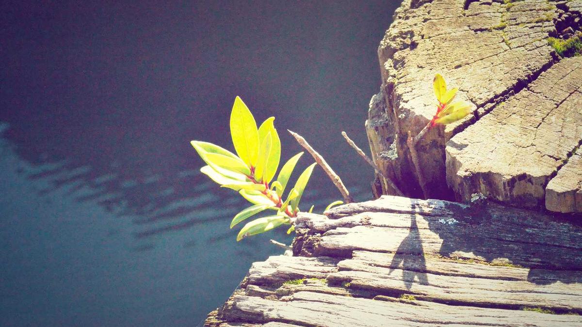 为什么58同城要手机验证码?