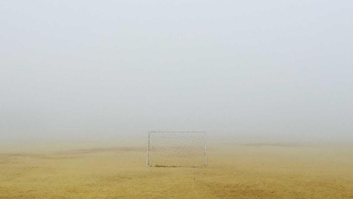 喝茶和柿子能同时吃吗